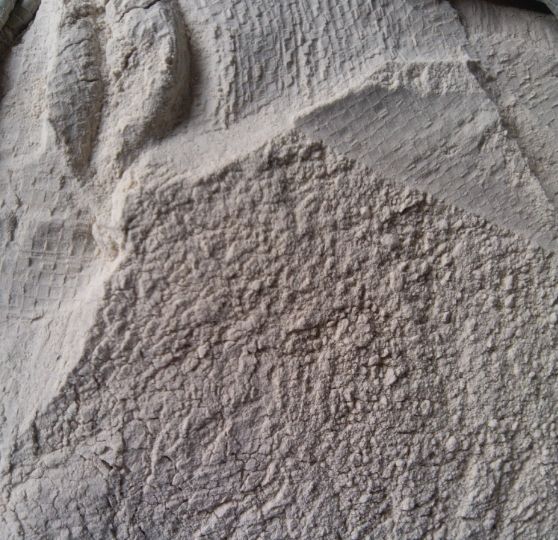 石粉